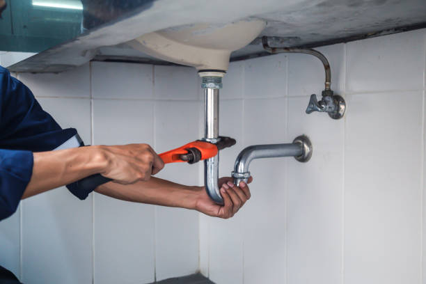 Best Plumbing Repair Near Me  in Ridge, NY