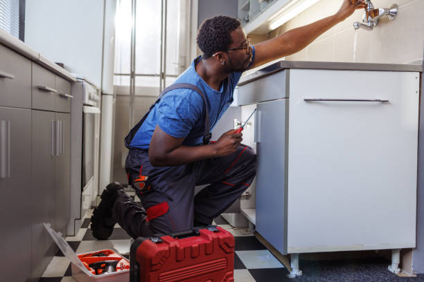 Best Sprinkler Systems  in Ridge, NY